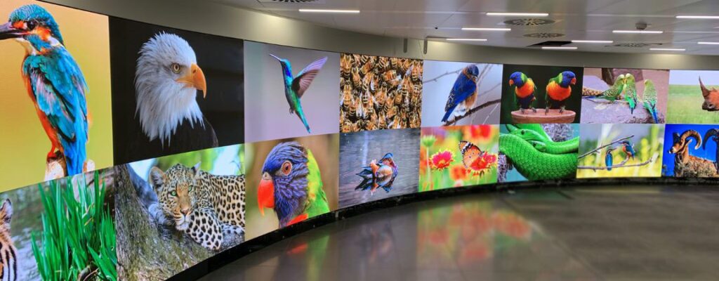 JLR Automotive Design Center