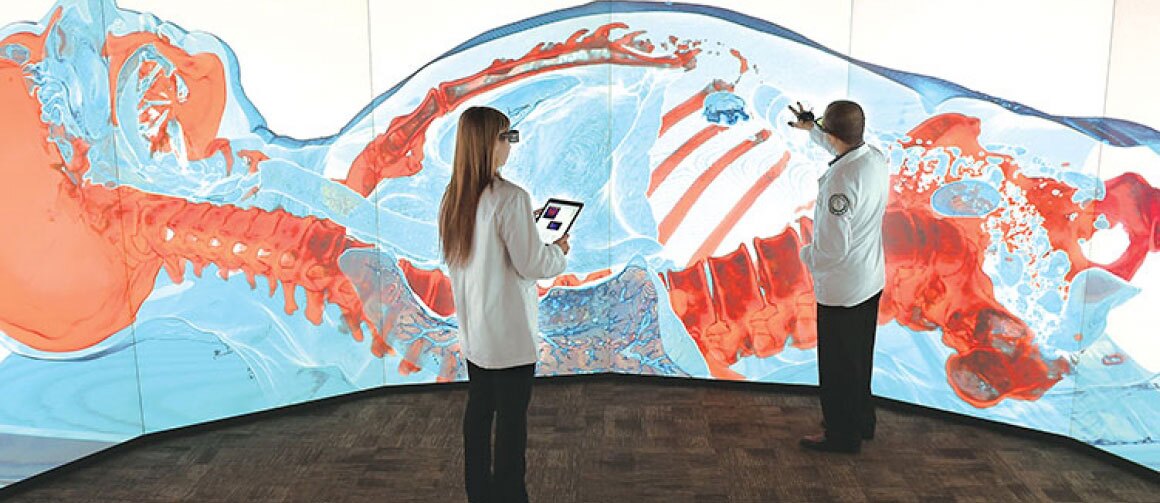 Villanova CAVE being utilized to create an enlarged view of a human body CT Scan
