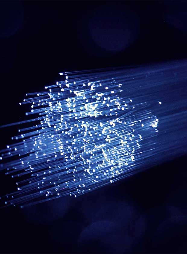 Fiber Optic Networks