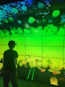 Carnegie Data Visualization Display